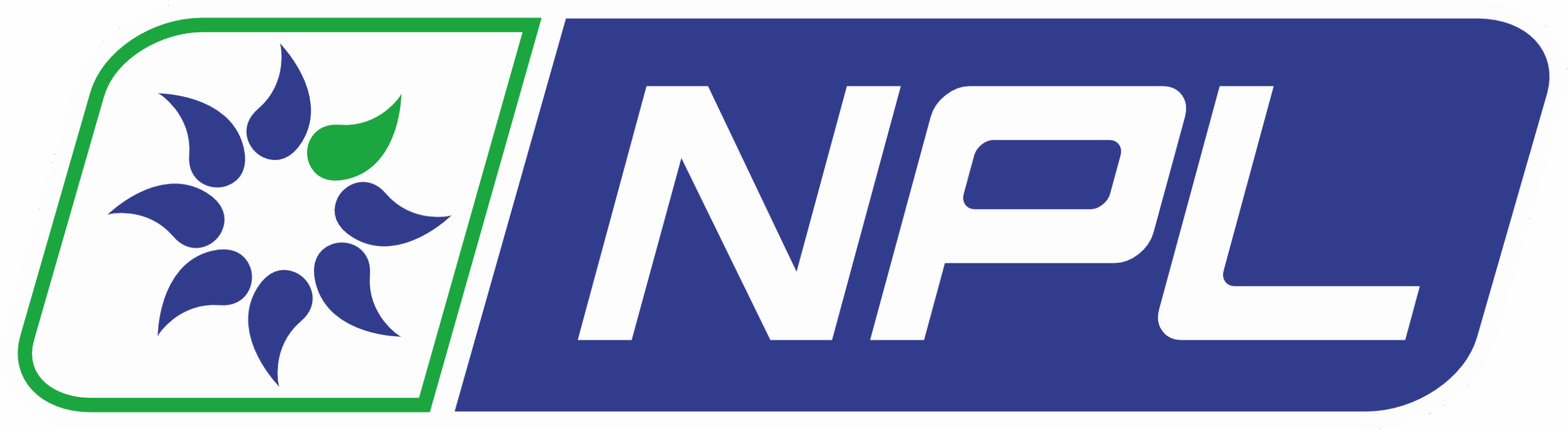 NPL LOGO
